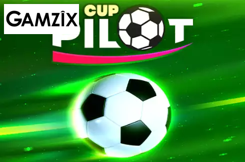 Pilot Cup